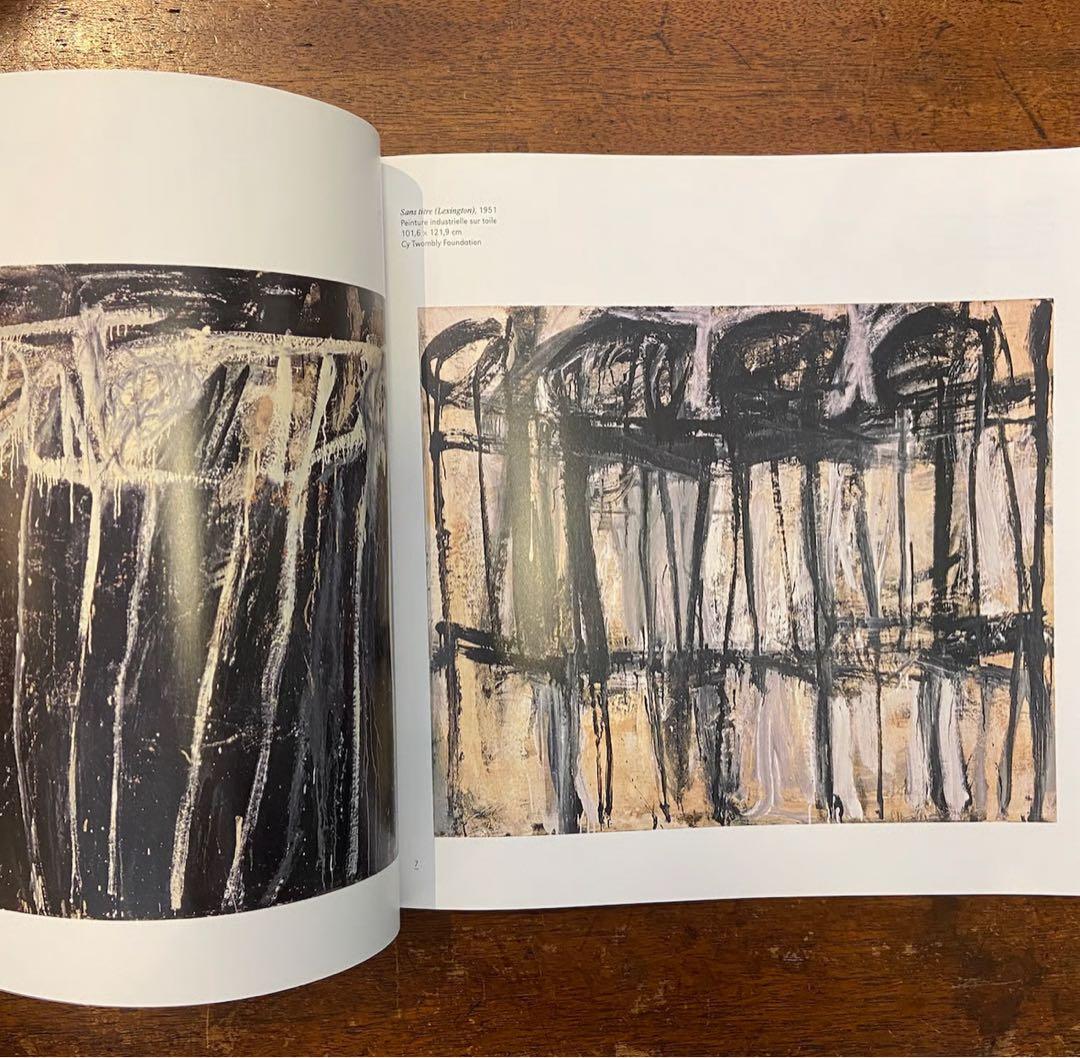 Cy Twombly 画集