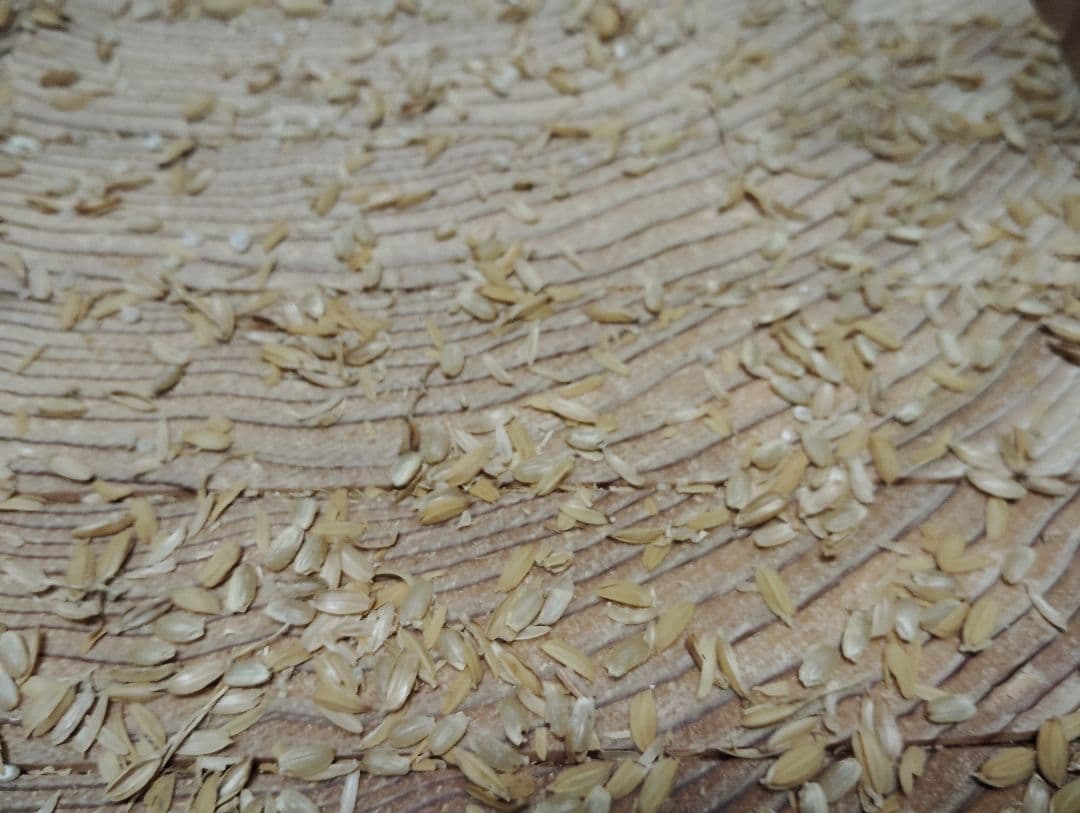 回転式籾擦り機(超大型)