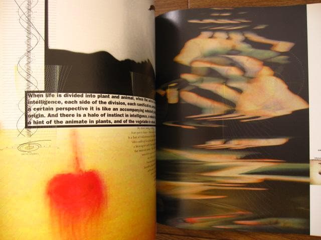 アート・デザイン・音楽 David Carson: 2ndsight: Grafik Design