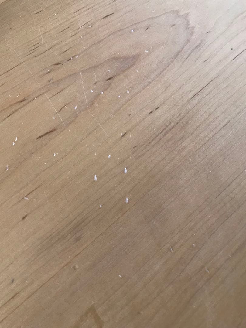 家具蔵 テーブル DAN （ダン） 90㎝角 ハードメープル