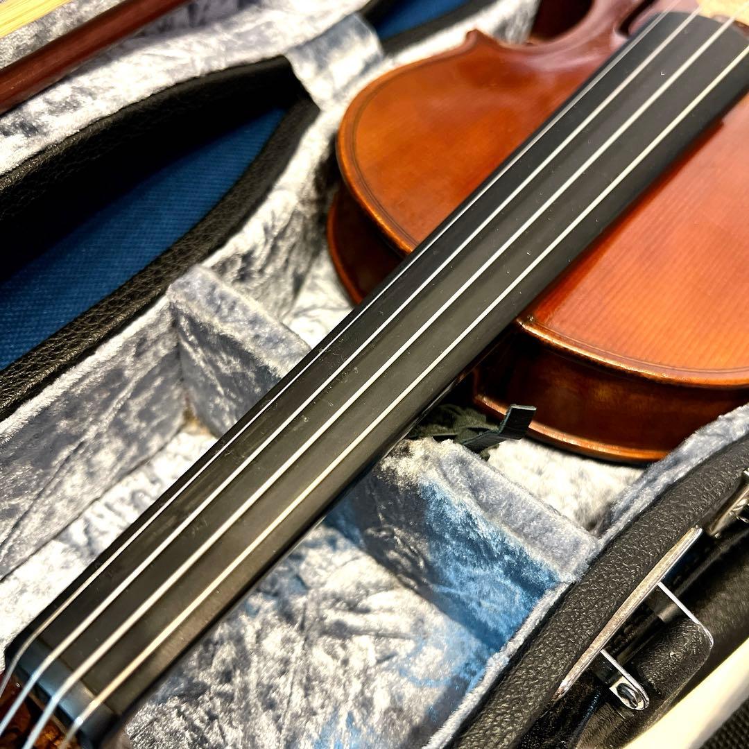 【希少美品】Pygmalius ピグマリウス　Bambino 1/2 バンビーノ