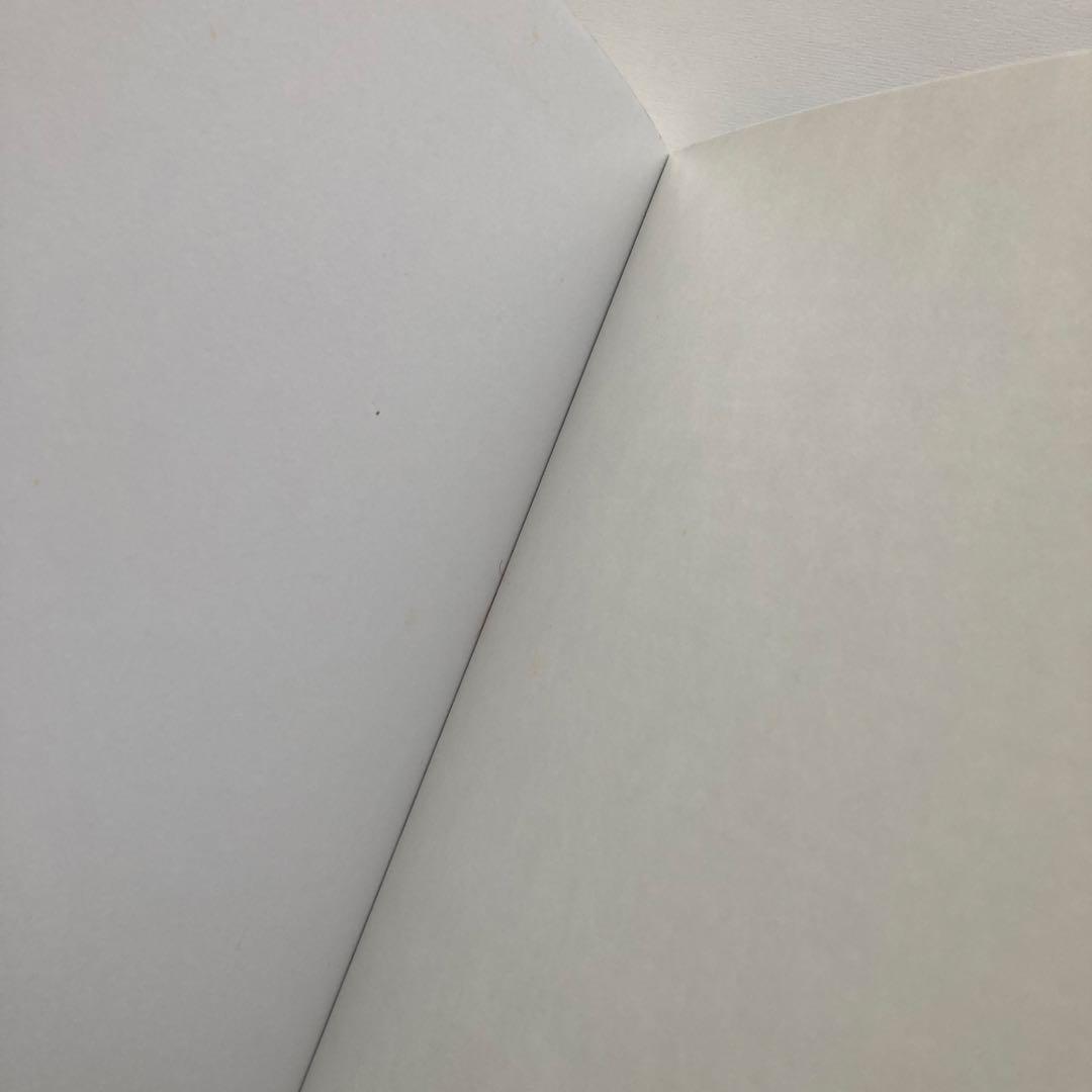 語学・辞書・学習参考書 Fourier Analysis