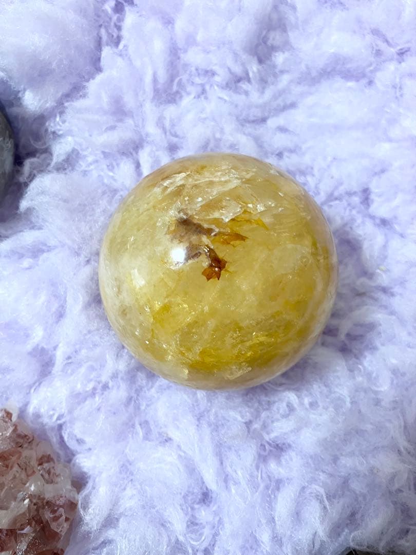 ゴールデンヒーラー①