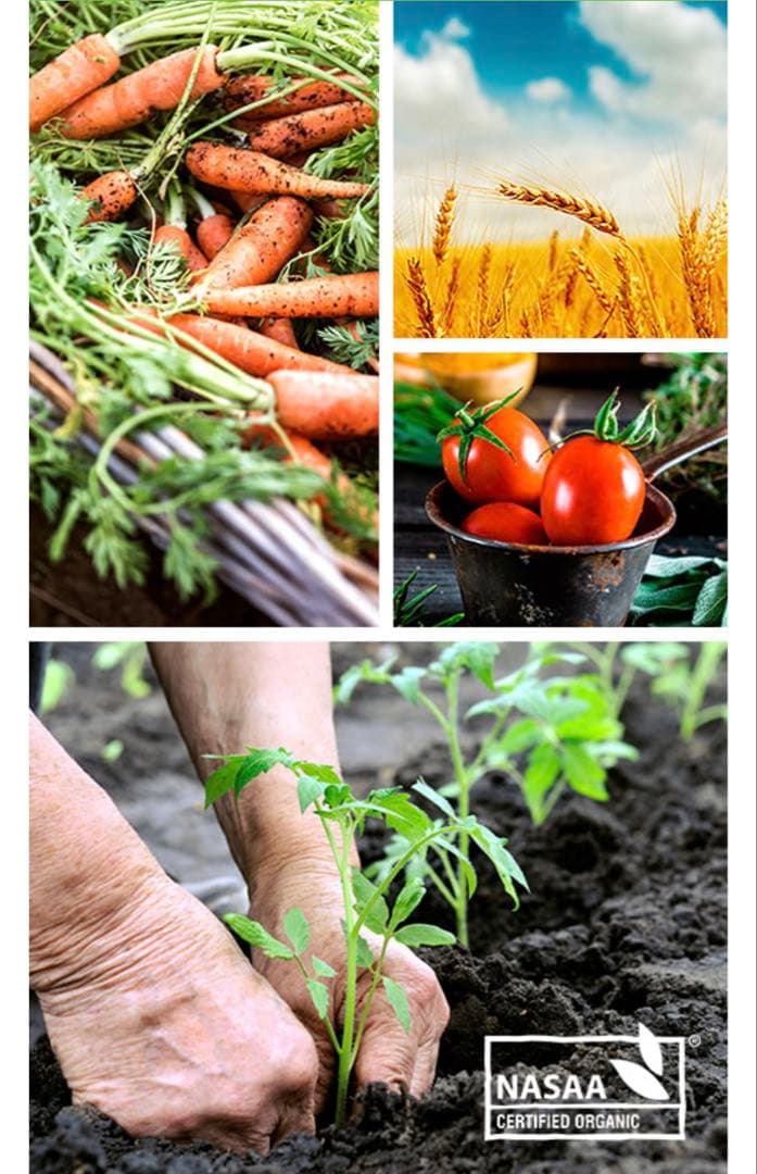 bubs Organic 1 (0~6 Months ) 800g 5缶セット