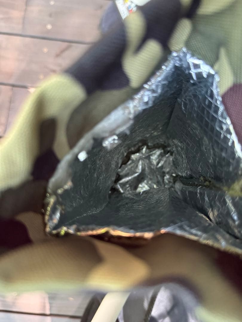 coco　AirBuggy for dog DOME2 ペットカート