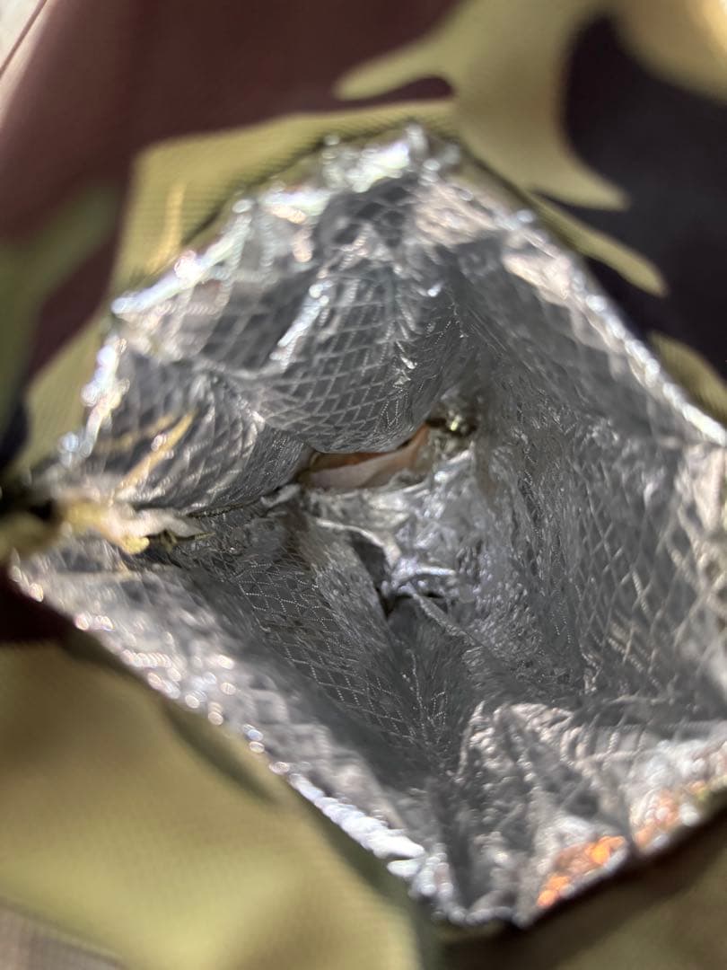 coco　AirBuggy for dog DOME2 ペットカート