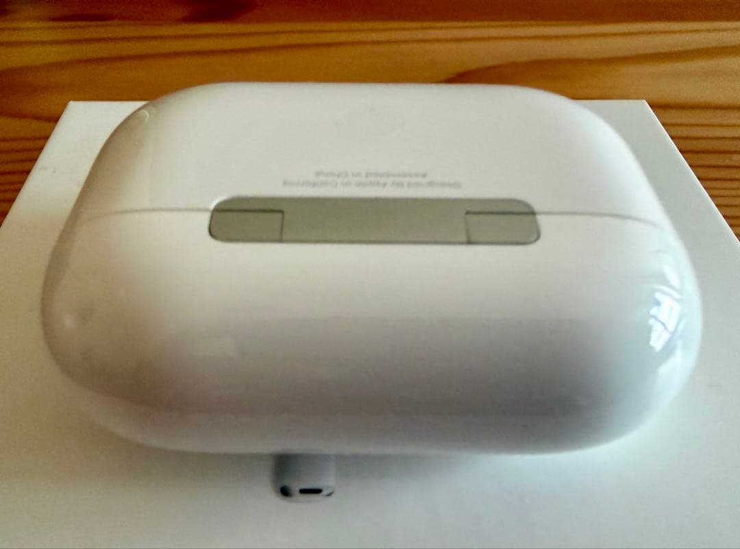 Apple AirPods Pro 2 アップル プロ カーボンケース付