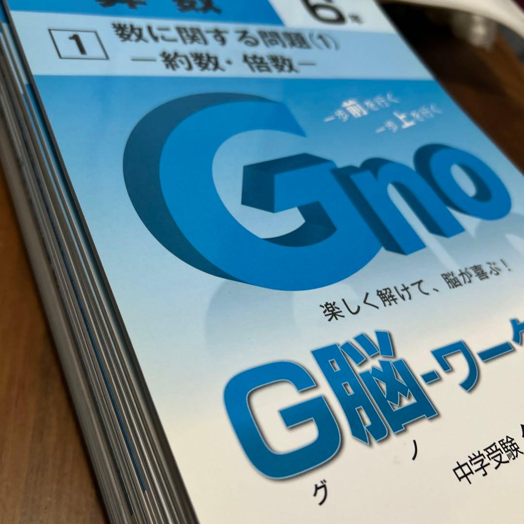 e サピックス生にも　グノーブル　G脳ワークアウト　6年算数20冊