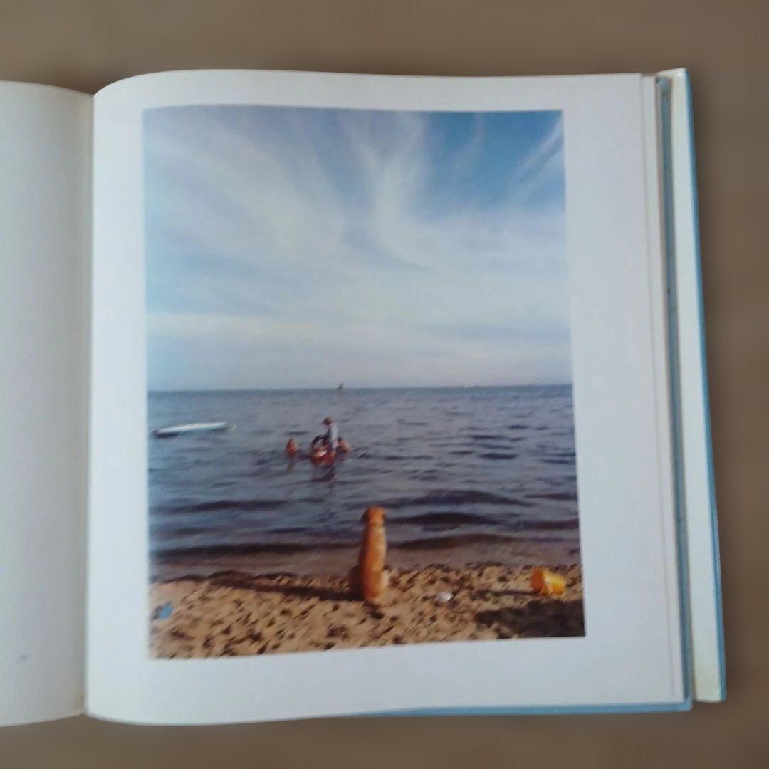 写真家ジョエル・マイヤーウィッツの作品集『A Summer's Day』(洋書)