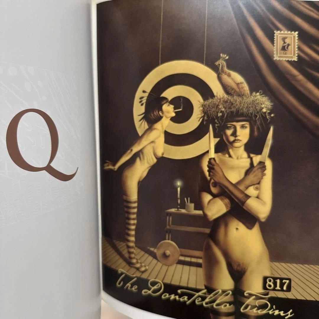 ANIMEROTICS / David Delamare 洋書 画集 アート