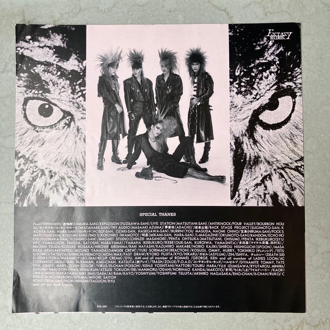 X　VANISHING VISION　5000枚限定ピクチャーレコード　開封品