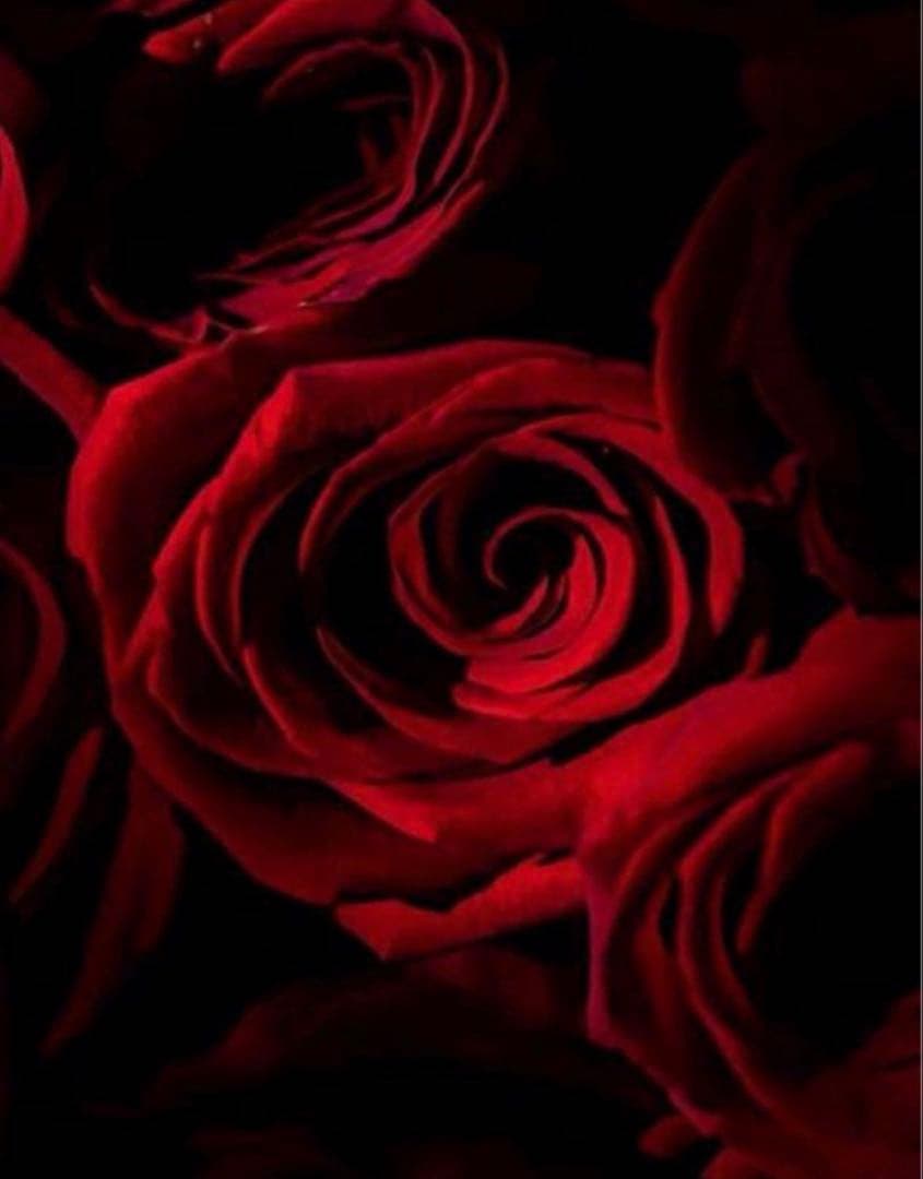 COACHストラップ付長財布ディズニーキースヘリング.コラボ.UFOプリント新品