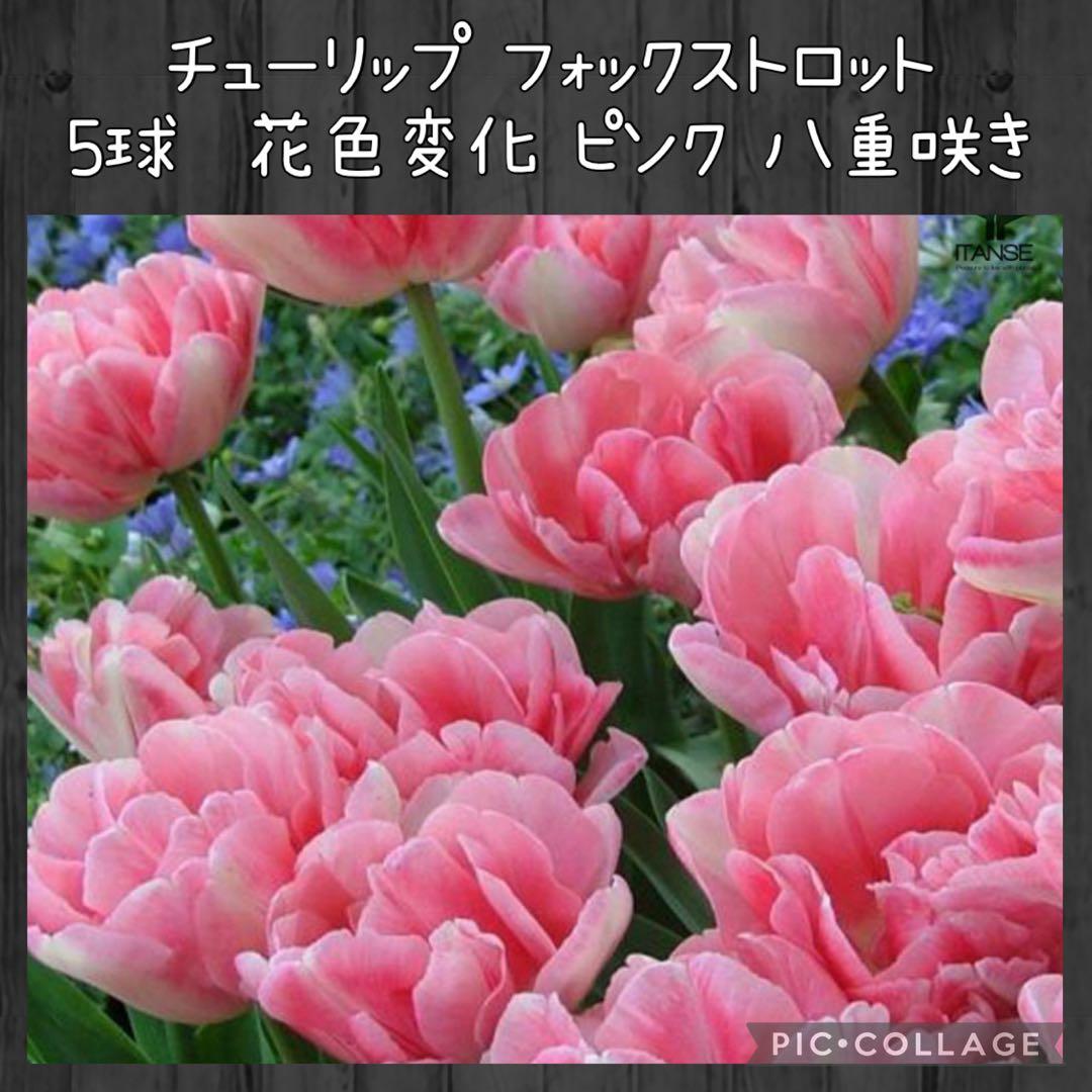 awe様 リクエスト 10点 まとめ商品