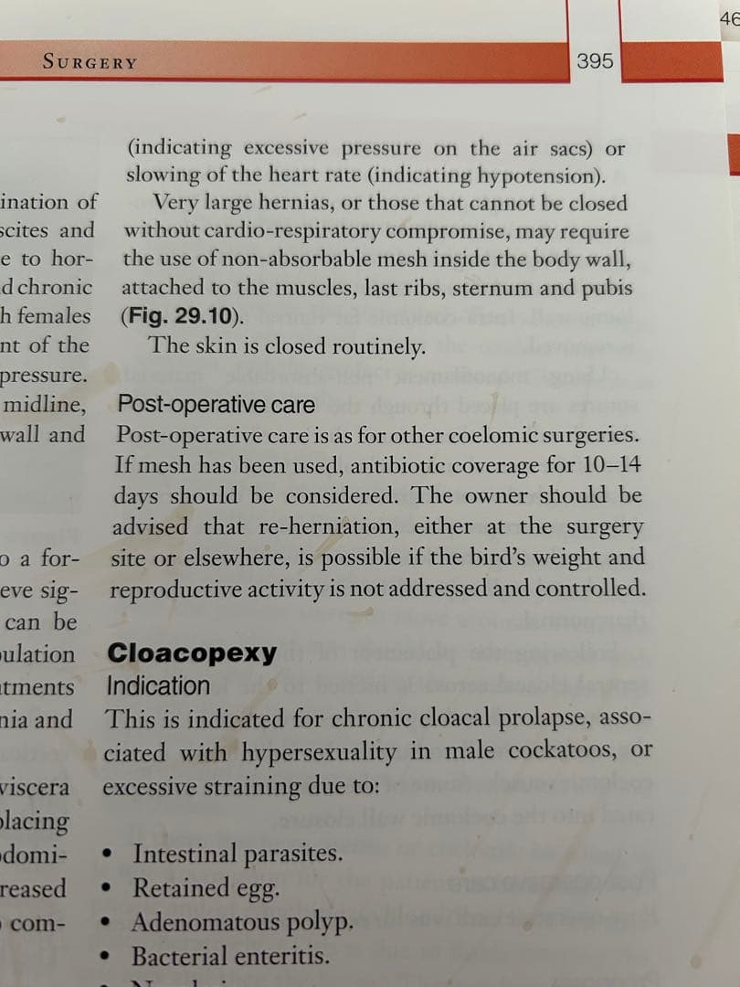 健康・医学 Avian Medicine and Surgery in practice