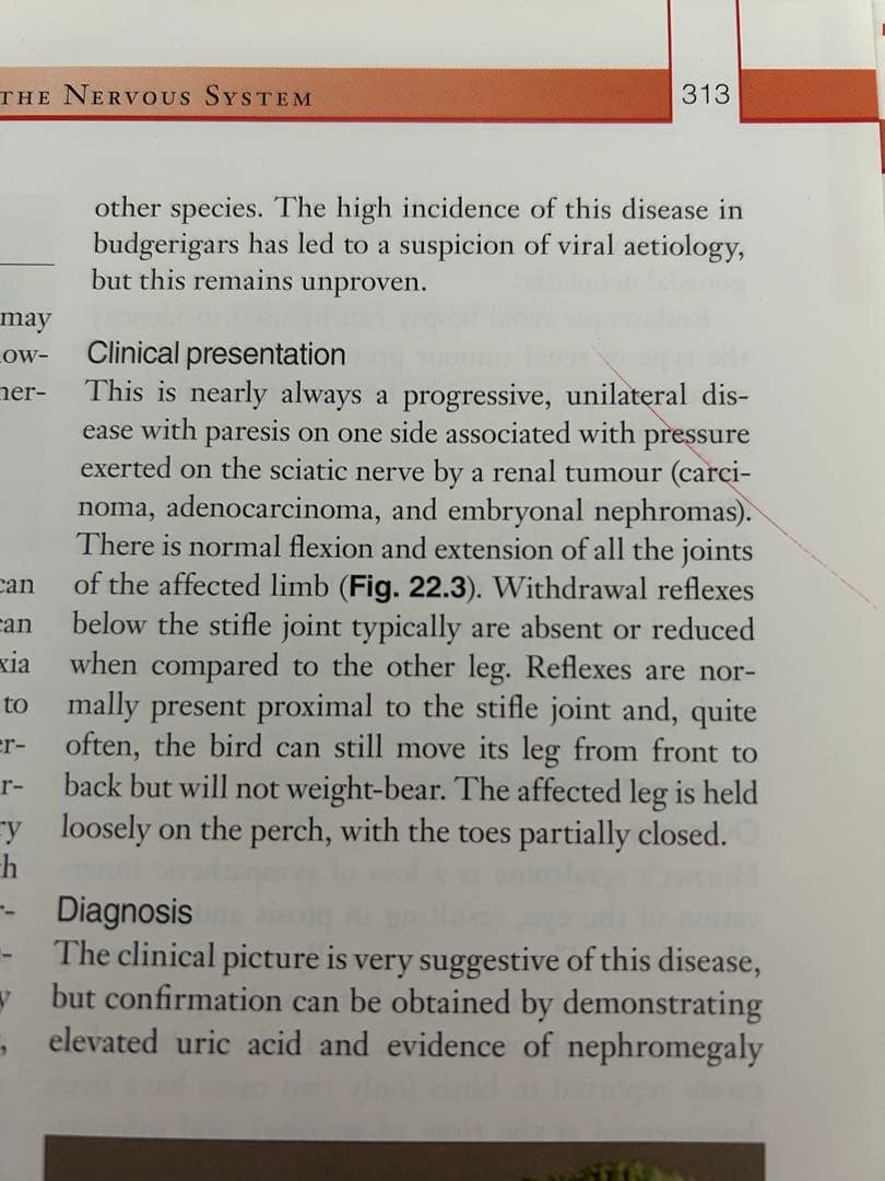 健康・医学 Avian Medicine and Surgery in practice