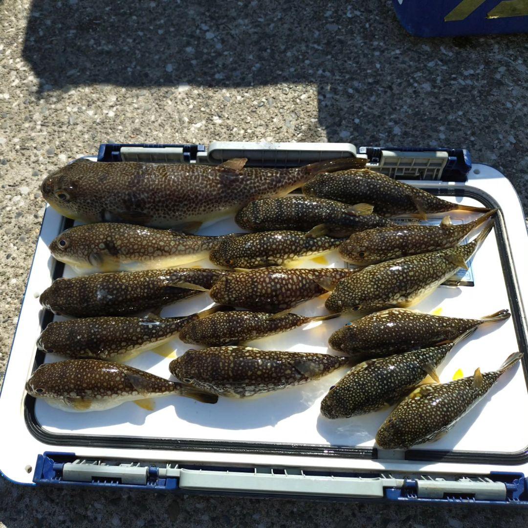 ★専用です★湾SHIMANO BAYGAME 船竿 180cm CI4+