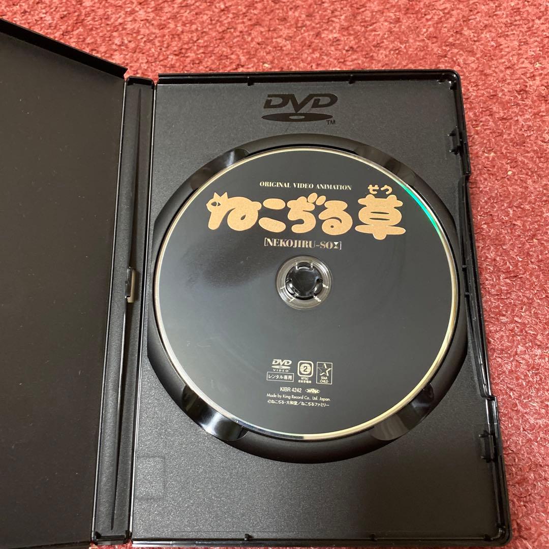 「ねこぢる草」DVD