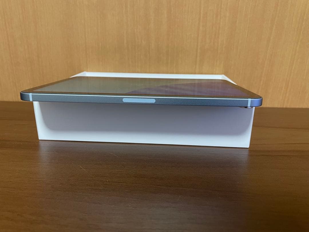 極美品iPad mini (第7世代) 256 Wi-Fi + Cellular