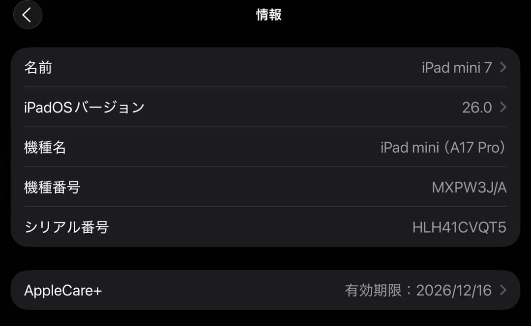 極美品iPad mini (第7世代) 256 Wi-Fi + Cellular