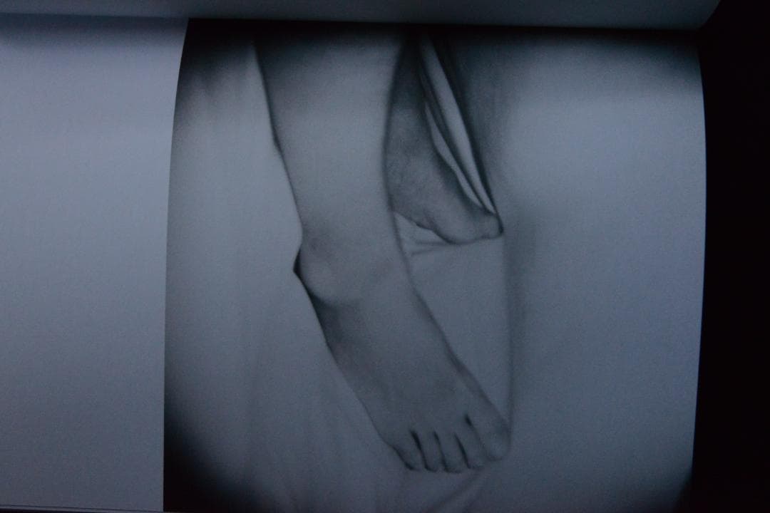 【Anne De Gelas：L'amoureuse】★著者サイン入り