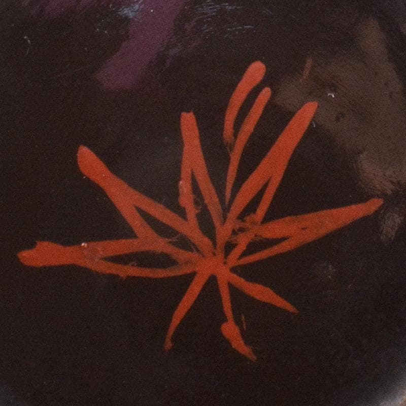 古民具　根来塗　時代根来　朱塗　酒盃　五客　時代合わせ箱　D　R7545