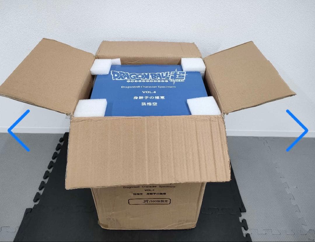 ドラゴンボール ガレージキット 身勝手の極意 FIGURE CLASS