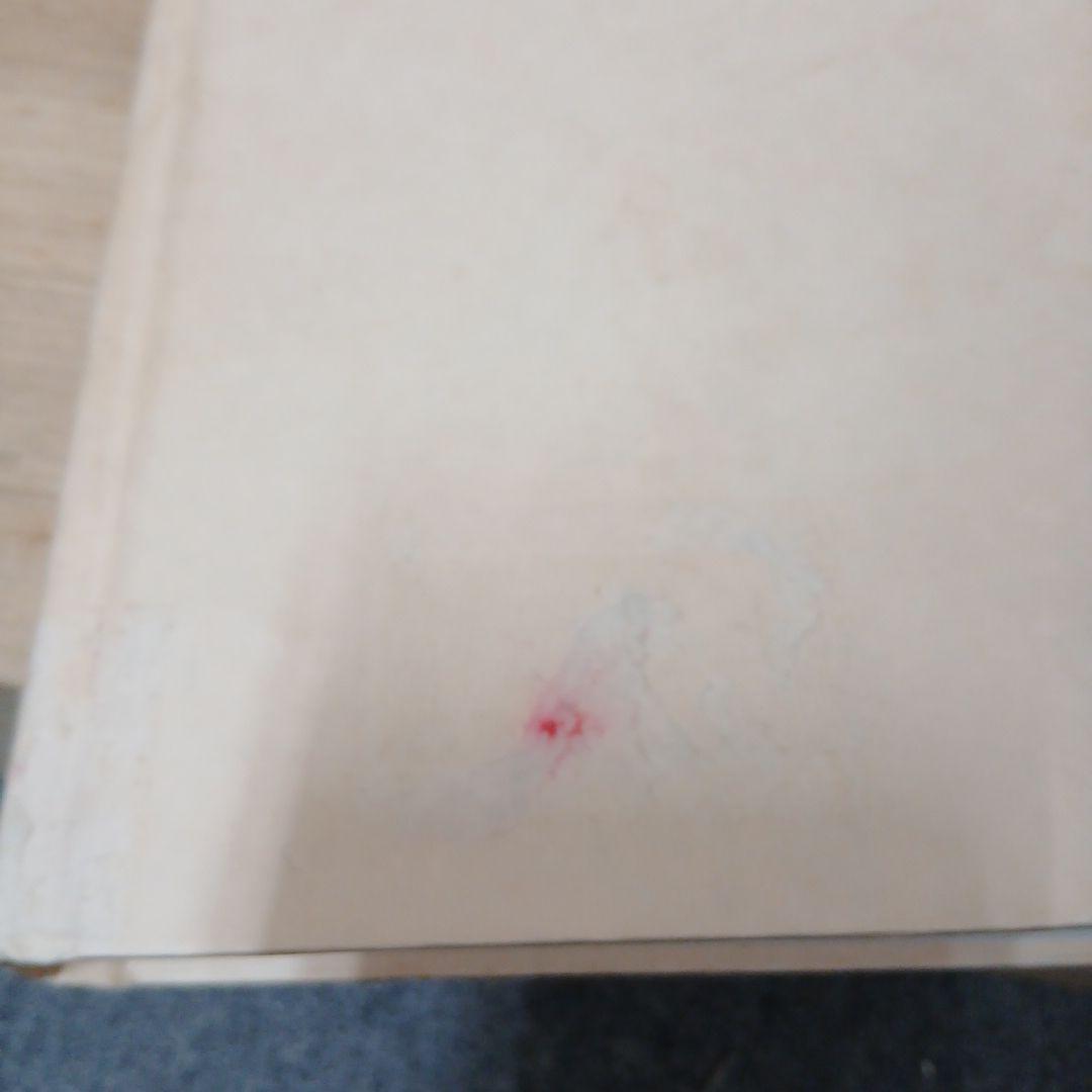 A life of Foujita by Phyllis Birbaum 英語版