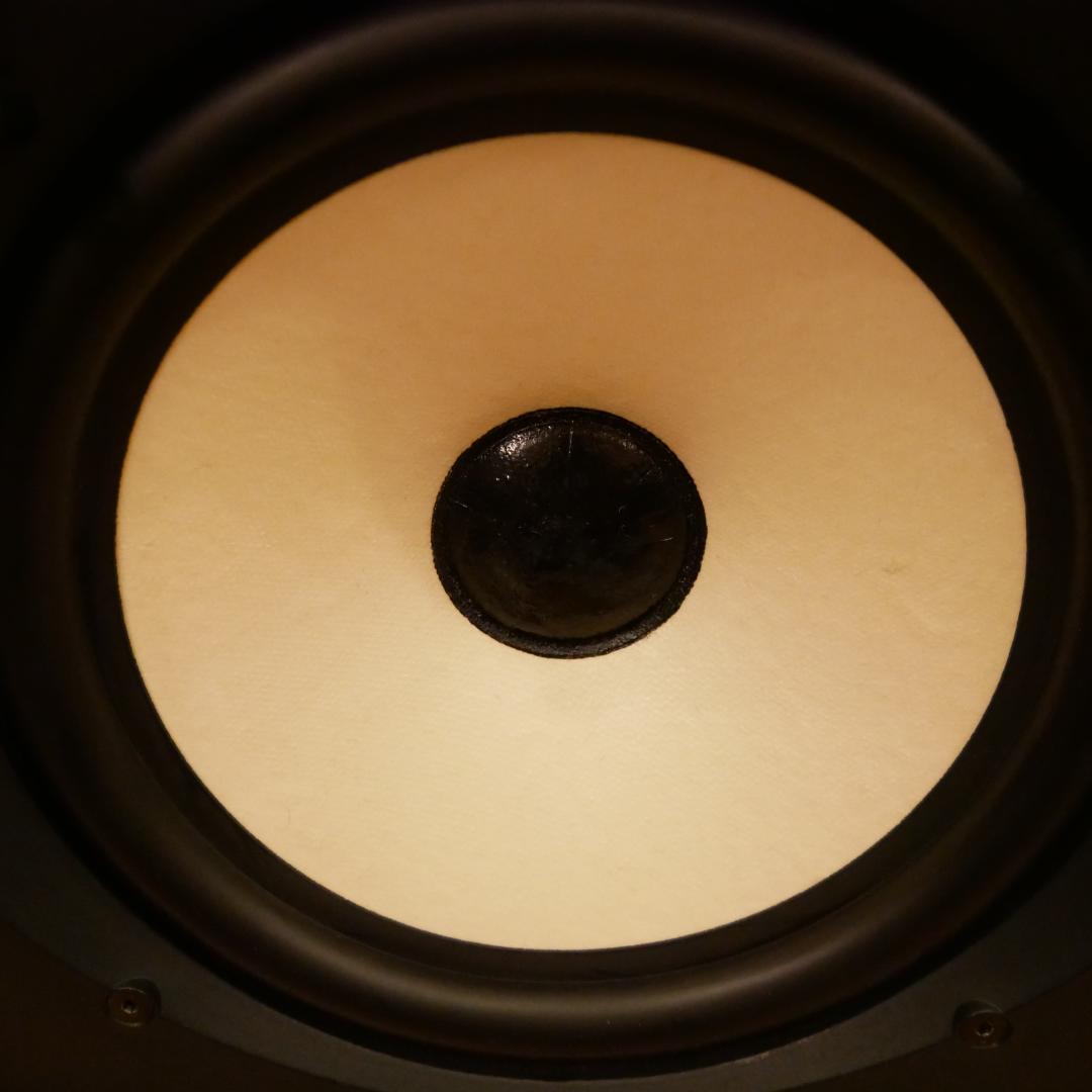 JBL control 5 plus コンデンサ交換済み　メンテナス品