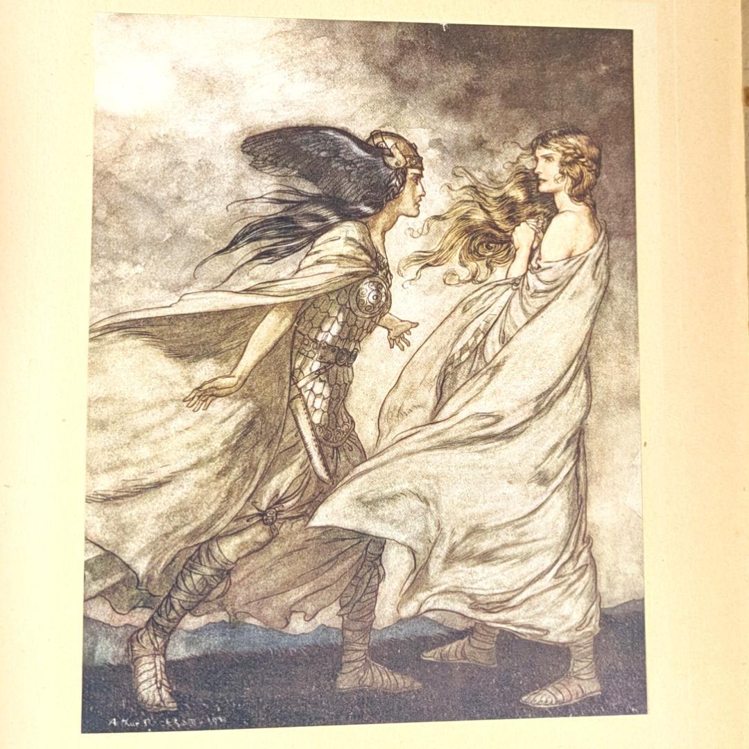 初版 アーサー・ラッカム挿画紋本 カラーイラスト全揃いジークフリート・神々の黄昏