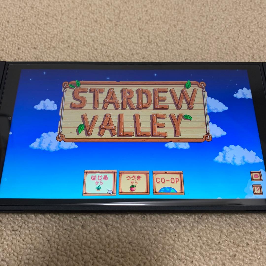 国内版　スターデューバレー Switch