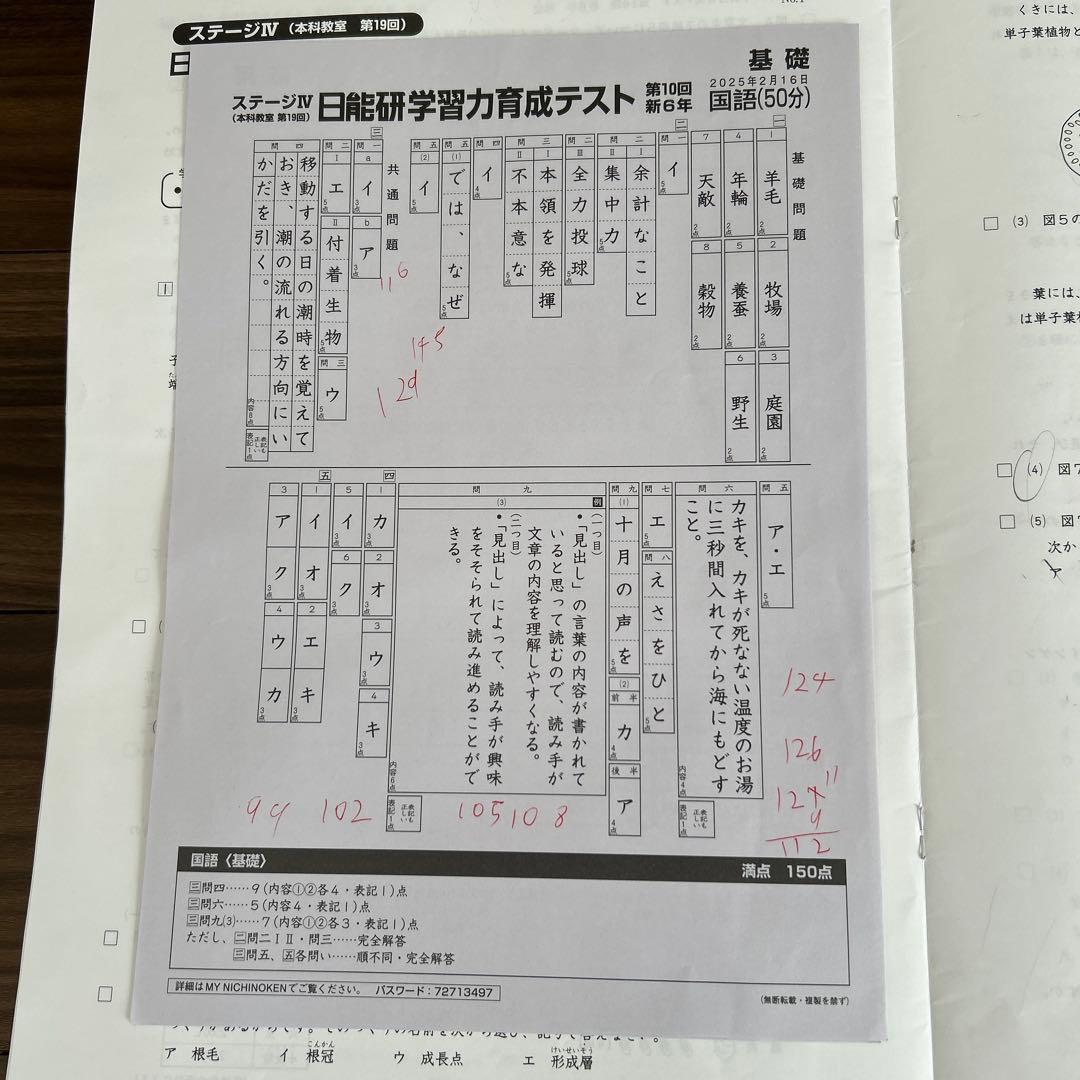 日能研6年　学習力育成テスト/公開模試/合格力育成テスト/合格力実践テスト