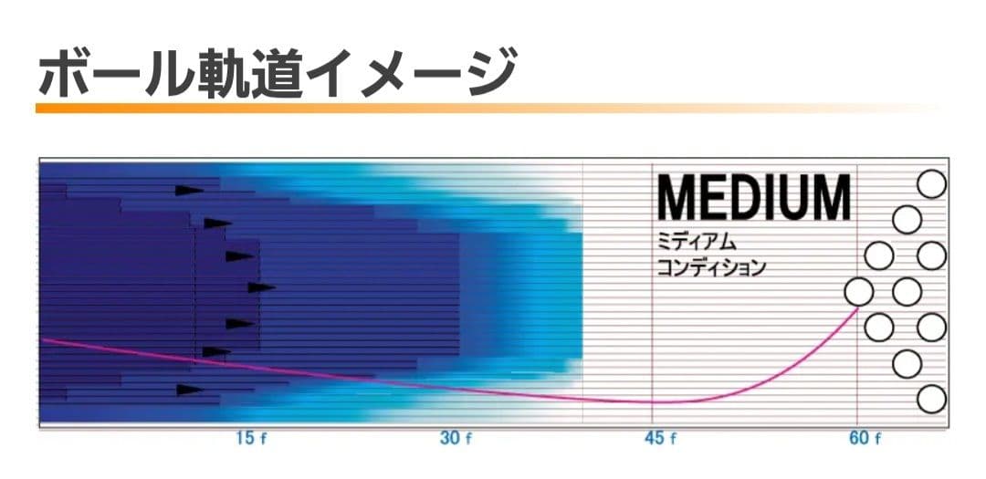 ボ*売様 ︎︎ ❤︎︎新品︎︎❤︎︎BITE PANIC X 15ポンド2オンス
