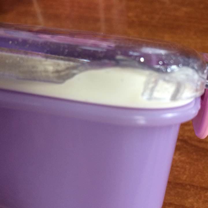 ディズニープリンセス 水筒セット 訳あり