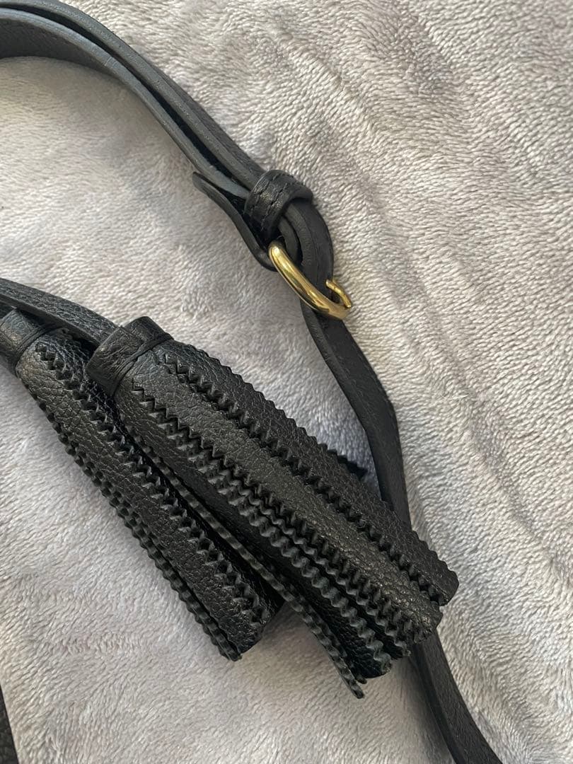 【美品】イルビゾンテ IL BISONTE ショルダーバッグ 巾着 レザー 黒