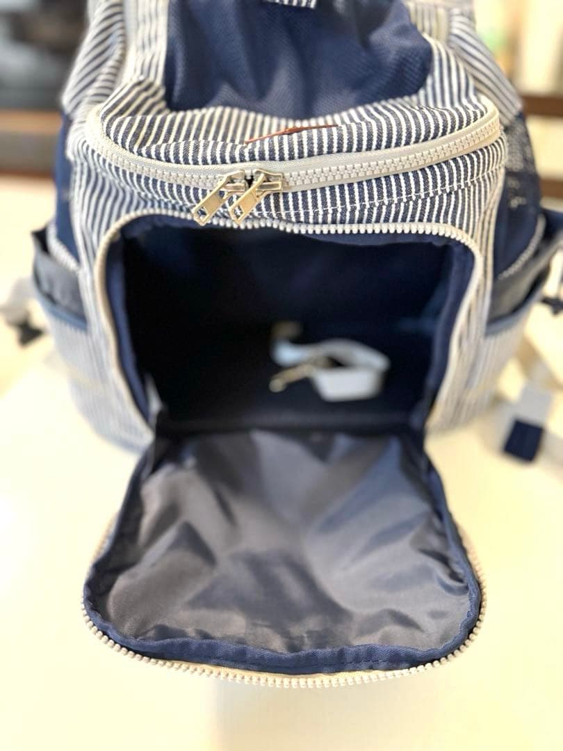 Lee 犬 リュック キャリーバッグ