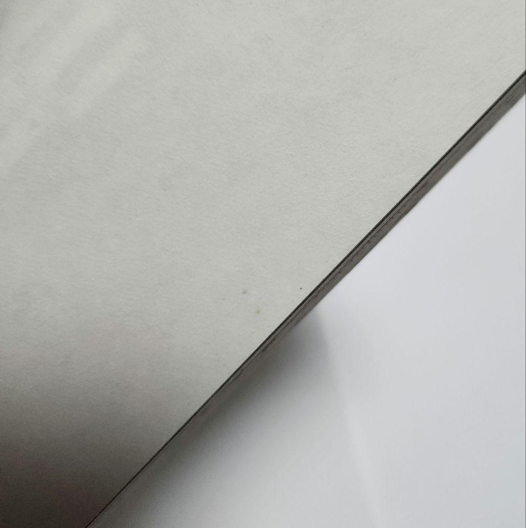 BLEACH 初版　帯　久保帯人　ジャンプ　ジャンパラ　一護　ルキア　漫画　貴重