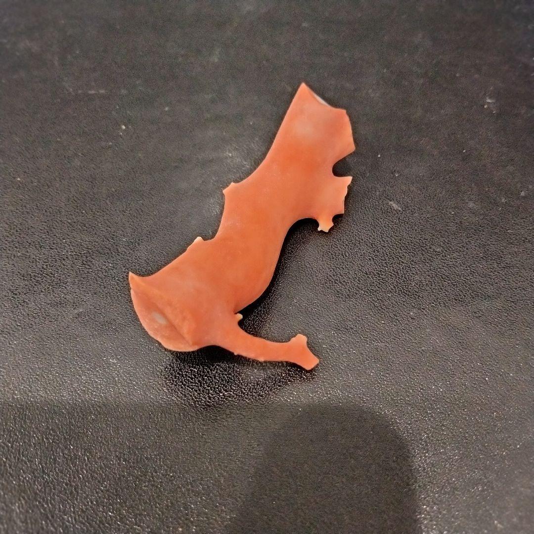 U282-2 天然赤珊瑚 桃珊瑚  高知産珊瑚 総重量43.3g  最高級品珊瑚