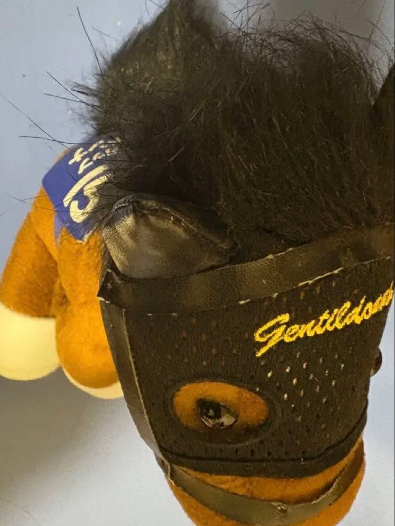 ジェンティルドンナ アイドルホース