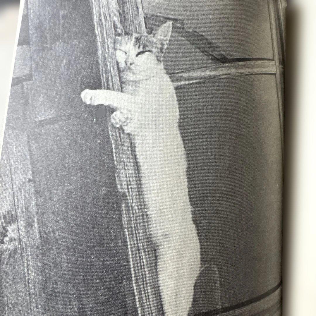 「見上げれば雲か」 天野滋