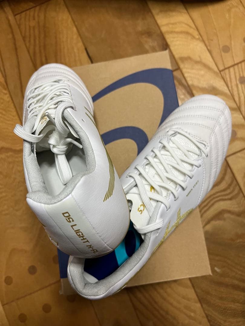 新品　特価　限定　アシックス　DSライト X-FLY PRO ST 27cm