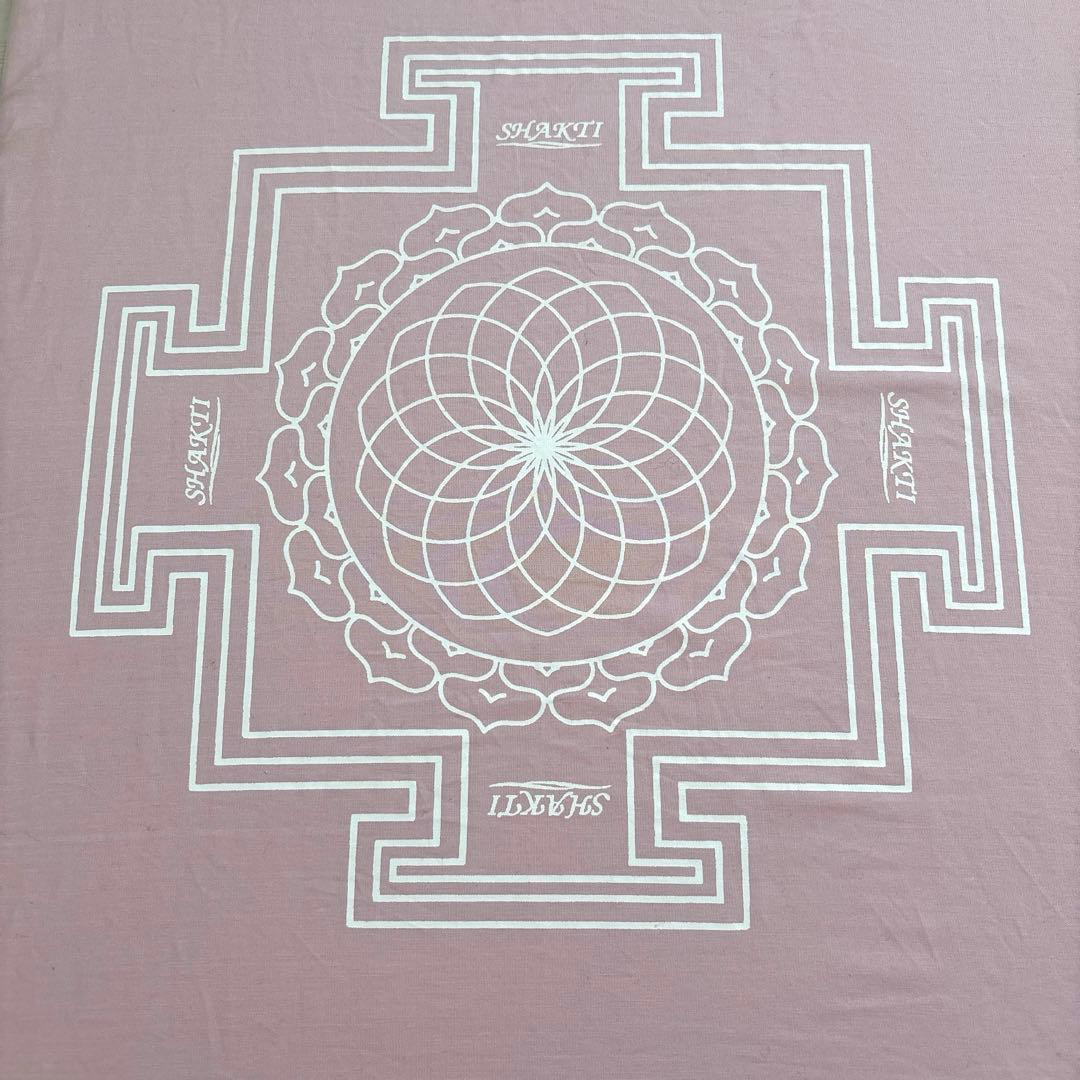 シャクティ 指圧マット レベル② ピンク