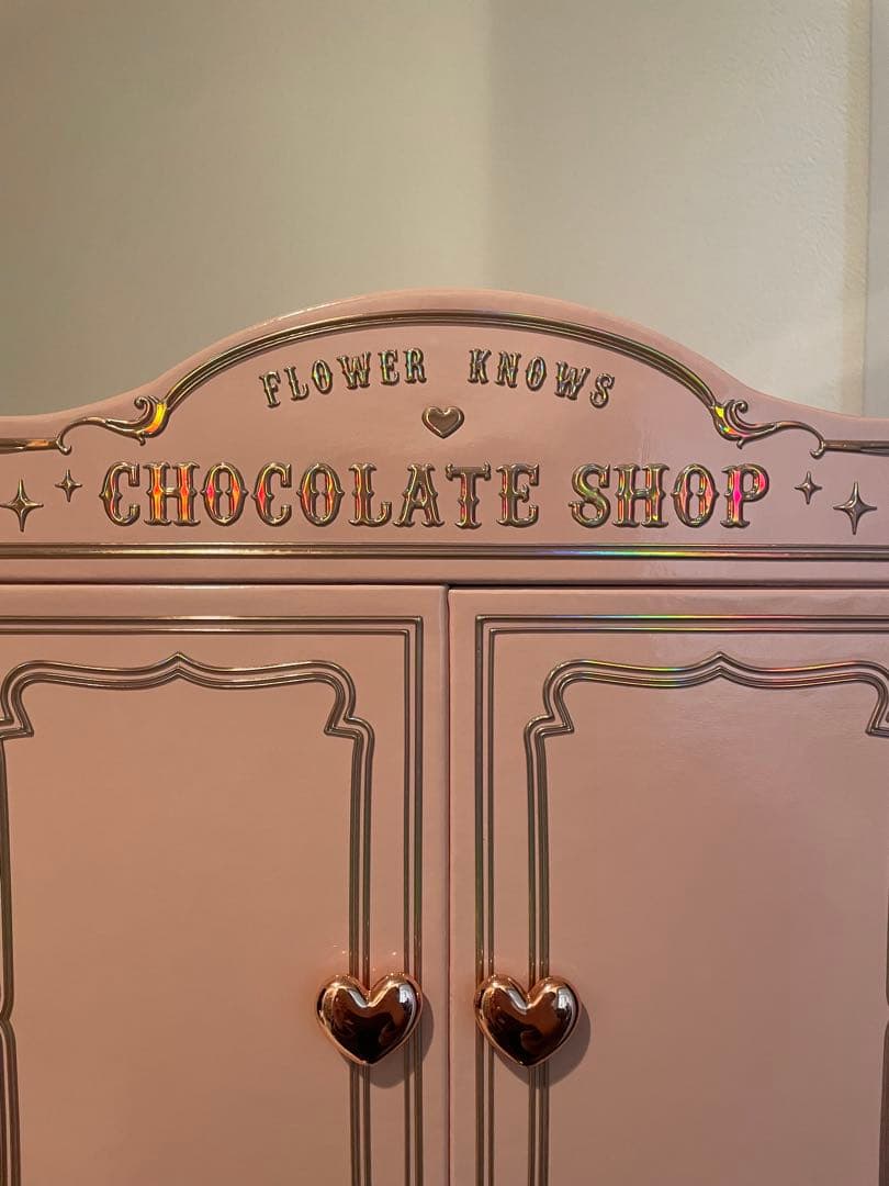 フラワーノーズ チョコレートシリーズ 限定ALLIN 収納BOX