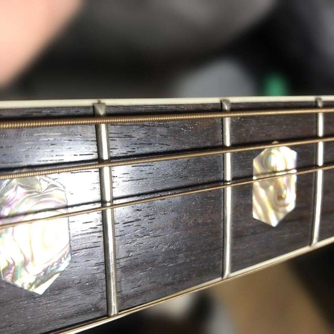 モーリス　morris TF W-50 78年製　スプルース単板　ハードケース付