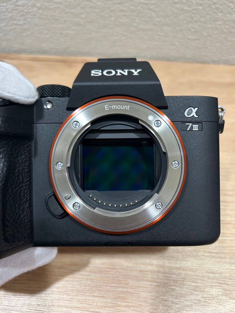 Sony a7iii 標準ズームキット+ FE 85mmF1.8