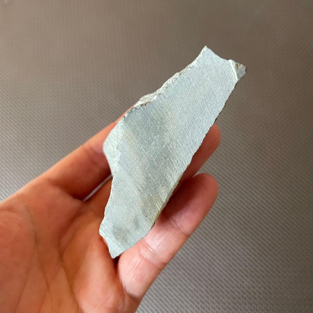 イングランド産 アンモナイト アステロセラス 母岩付き化石 採取カード付き 鉱石