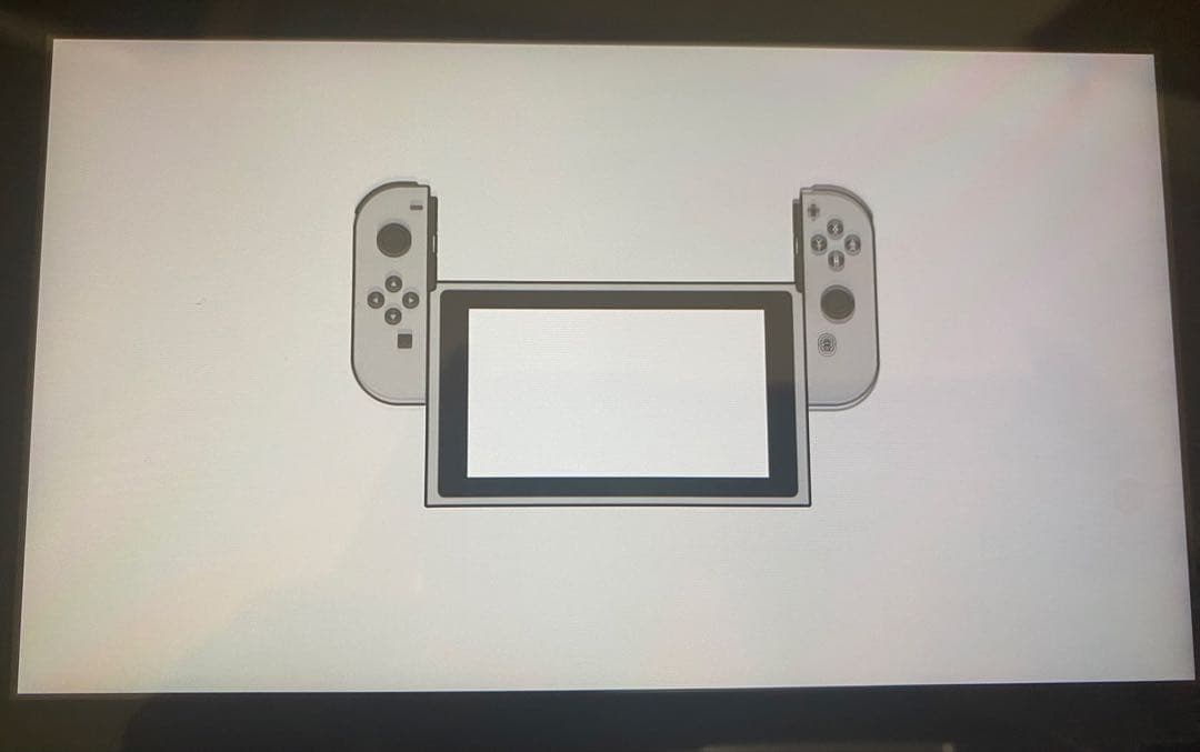 Nintendo Switch本体（ニンテンドースイッチ）、プロコン