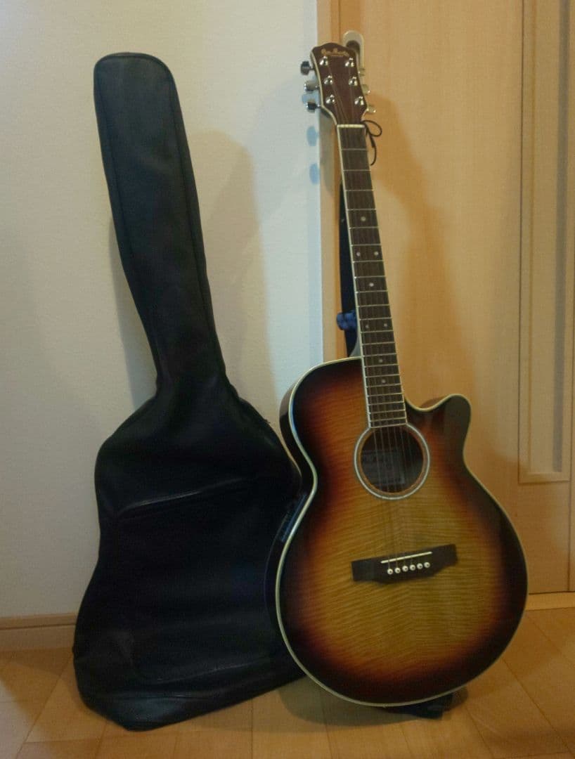 promartin ea500w vs エレアコ　ギター