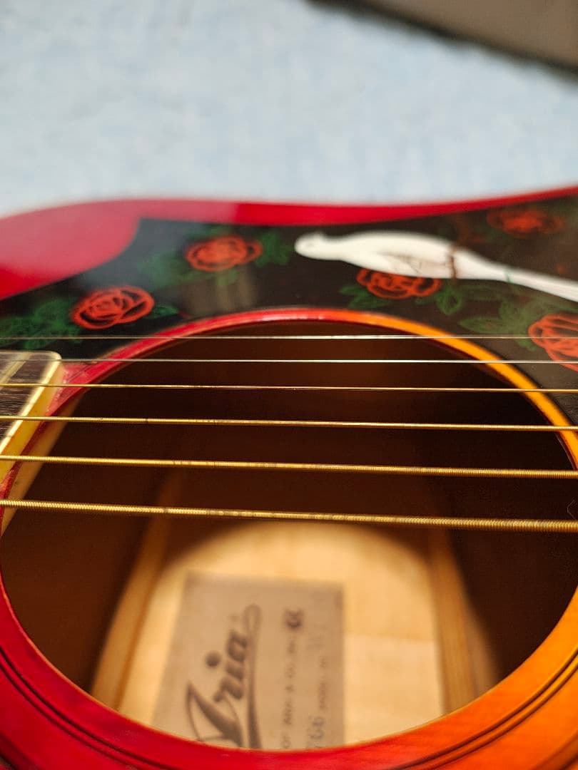 Aria DOVE CUSTOM WD-30/美品