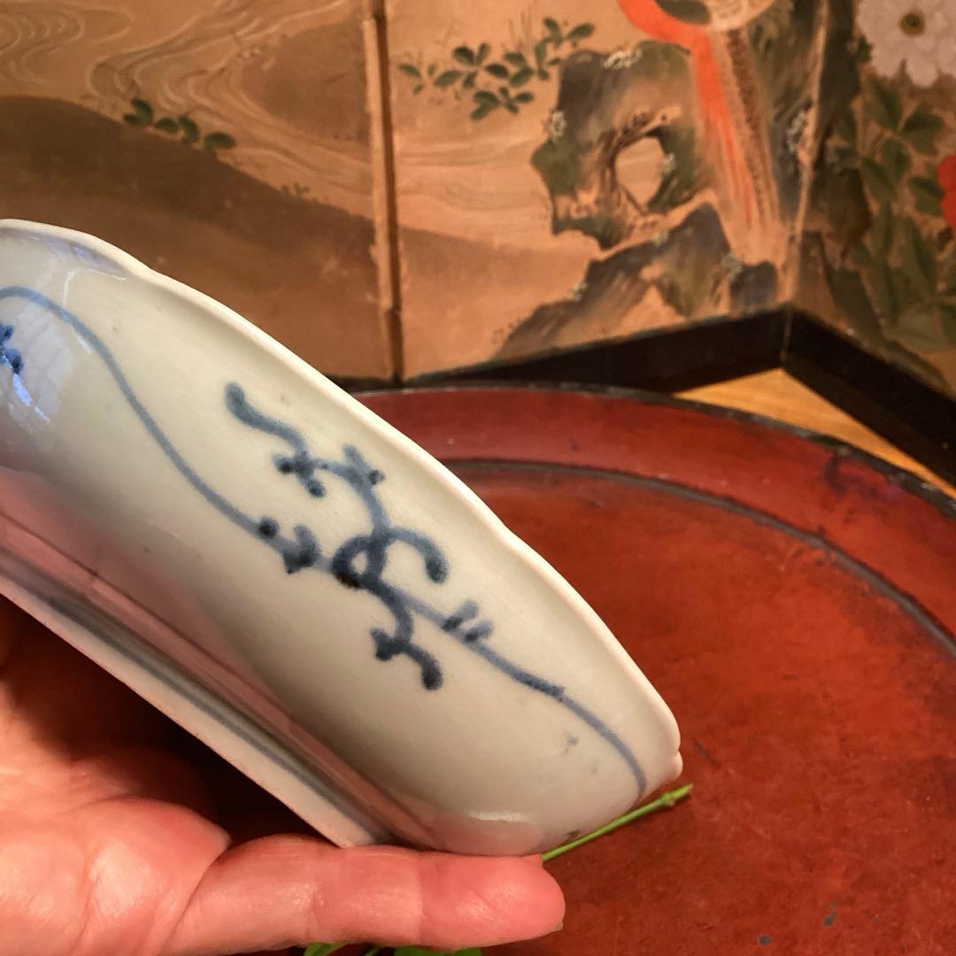 A995❶古伊万里　染付（柿右衛門）花唐草　見込栗紋様　輪花型　膾皿　1枚