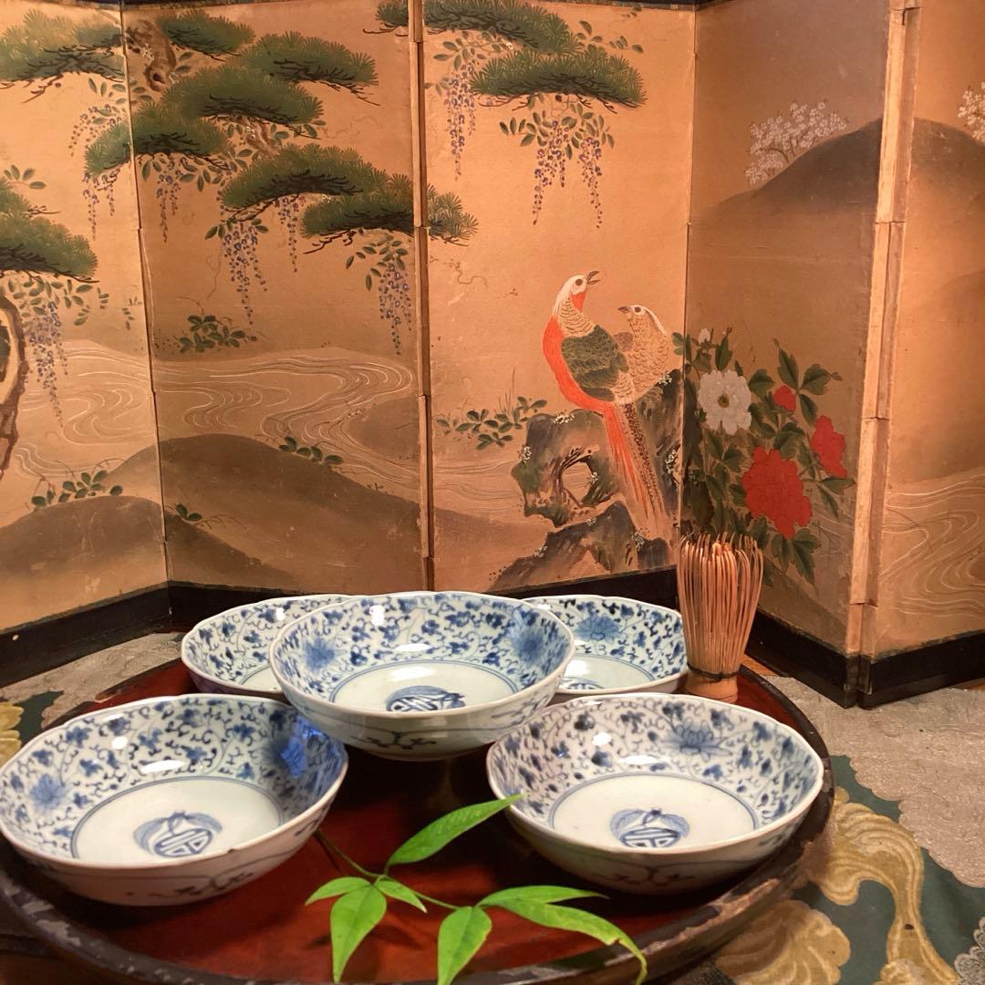 A995❶古伊万里　染付（柿右衛門）花唐草　見込栗紋様　輪花型　膾皿　1枚